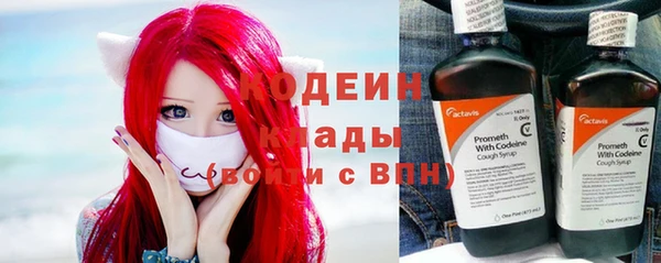 СК Новозыбков