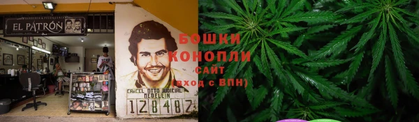 СК Новозыбков