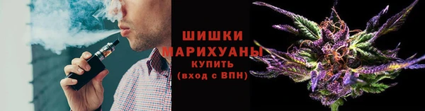 СК Новозыбков