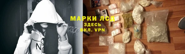 СК Новозыбков