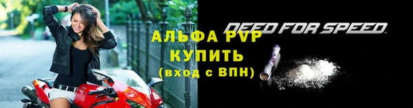 СК Новозыбков