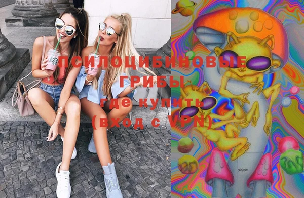 ECSTASY Новокубанск