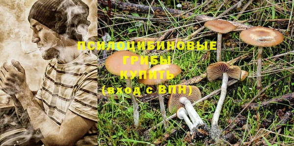 ECSTASY Новокубанск