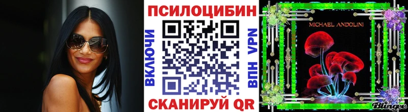 Галлюциногенные грибы MAGIC MUSHROOMS Заволжье