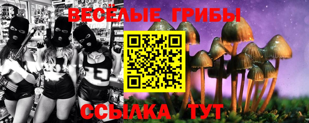 Заволжье  Псилоцибиновые грибы Psilocybe  Вход с VPN 