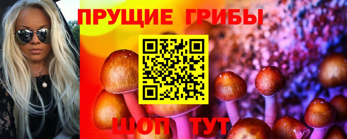 Галлюциногенные грибы Psilocybine cubensis Заволжье