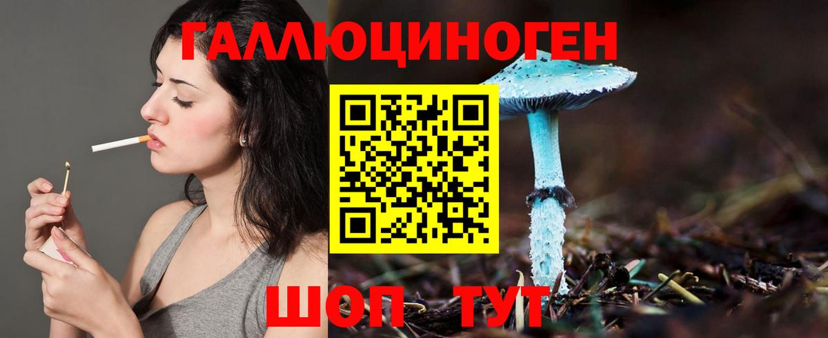 Галлюциногенные грибы мицелий Заволжье