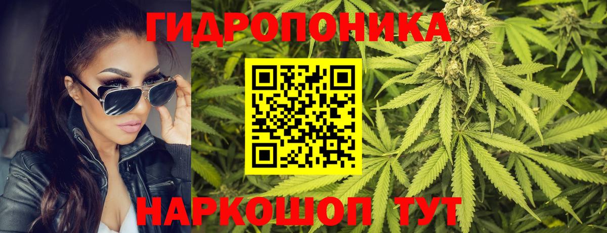 Канабис планчик  Вход с VPN  Заволжье  Марихуана планчик  Канабис Ganja 